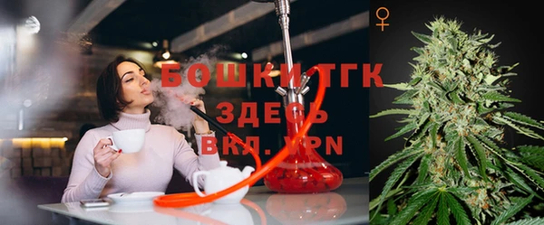 хмурый Алзамай